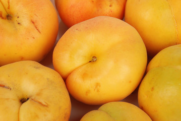 apricot