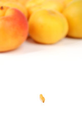 apricot