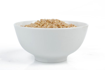 wheat seeds in bowl
