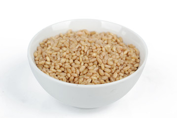wheat seeds in bowl