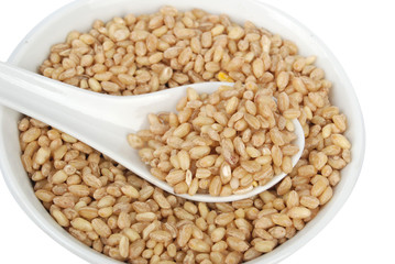 wheat seeds in bowl
