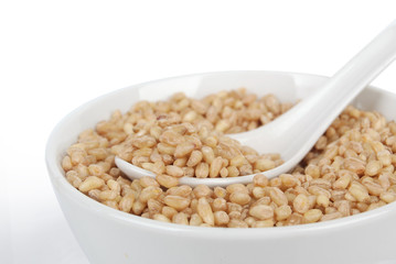 wheat seeds in bowl