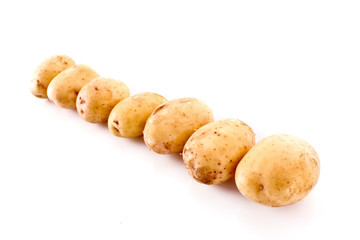 Few potatoes isolated on white