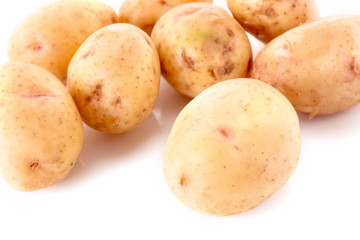 Potatoes isolated on white