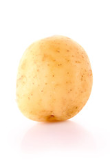 Potato isolated on white