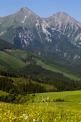 Fototapeta na wymiar Pastwisko Tatry z łąki i góry