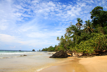 bocas del toro