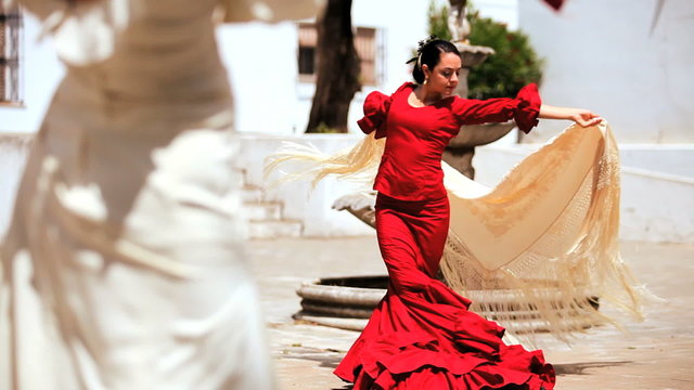 Passionate Flamenco Dancing