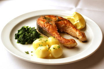 Fisch - Lach Salmone