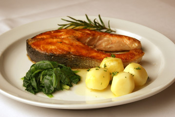 Fisch - Lach Salmone