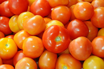 Ripe Tomatoes For Sale