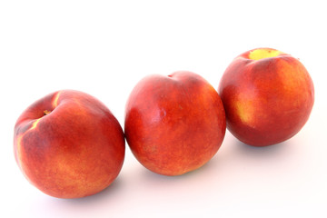 nectarines on the white background