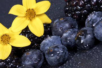 Heidelbeeren