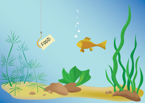 vector illustration with fish and sea