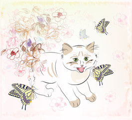 kitten  and butterflies