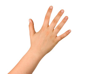 Obraz premium Hand isolated on white background