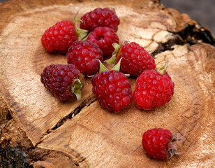 appetizing raspberry