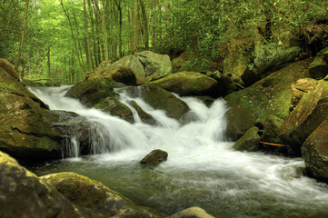 Mountain stream