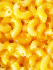 macaroni and cheese close up