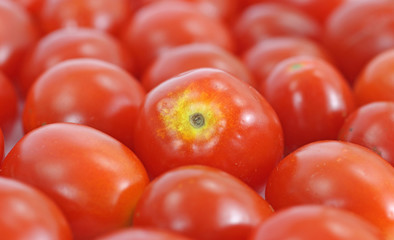 Close view of grape tomatoes