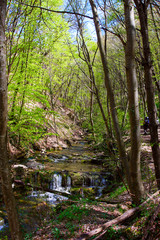 River in spring season