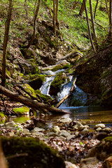 River in spring season