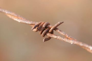 Stacheldraht