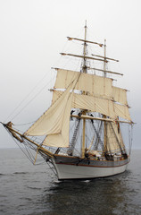 Fototapeta na wymiar Stary statek na Bałtyku
