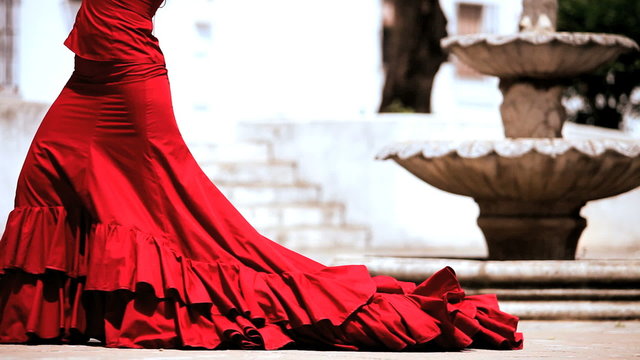 Lower Body of Flamenco Dancer