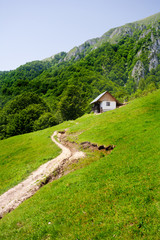 Fototapeta premium Old house in the mountains, near the forest