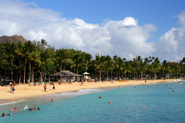 Obraz premium Waikiki Beach, Honolulu, Oahu, Hawaii..