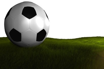 Fototapeta premium Football #8
