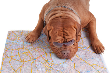 Wondering where to go