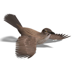 Female Red-winged Blackbird. 3D rendering with clipping path and