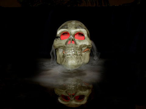 Skull In The Mist