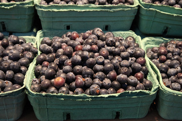 Blueberry basket at Granville Island food market in Vancouver