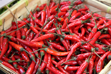 Red chili peppers sold at a food market