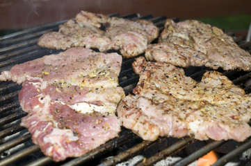 mariniertes Grillfleisch