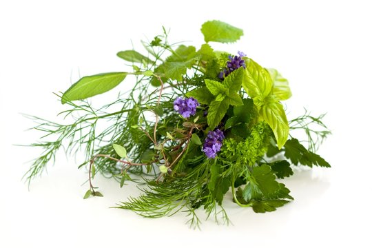 Herbs