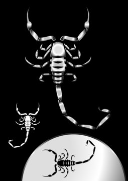 Metallic Scorpion in black background