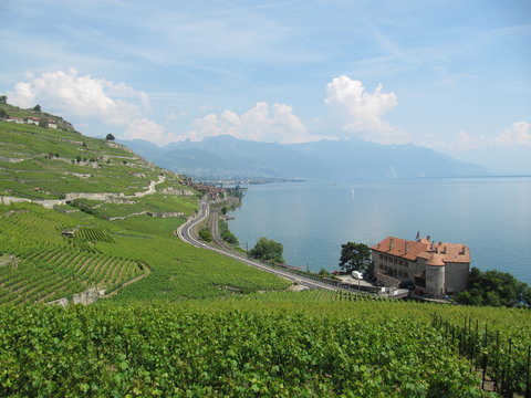 Lavaux and Geneva lake