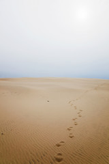 Fototapeta na wymiar Footprints in sand dune