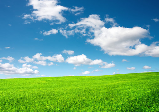 Green grass and blue sky