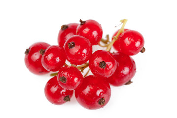 red currant
