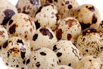 Obraz premium quail egg