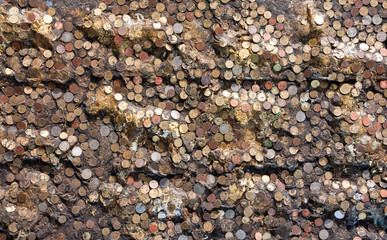 Image of Coins