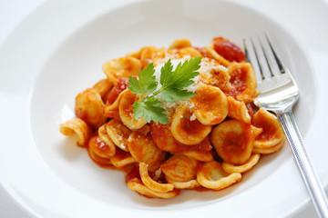 Orecchiette Pasta with Tomato sauce