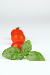 Basil and tomatoes