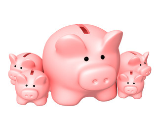 Growth of the capital