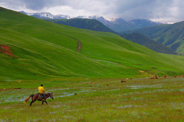 The shepherd on a horse in mountains